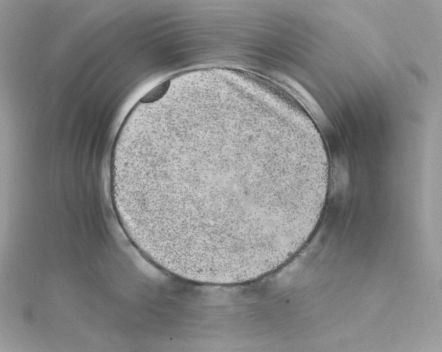 X0000114660812200911171109