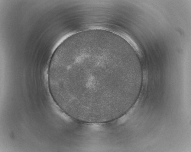 X0000114660814200911171109