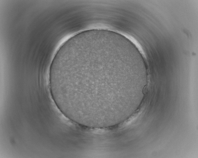 X0000114660815200911171109