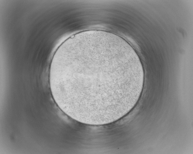 X0000114660816200911171109