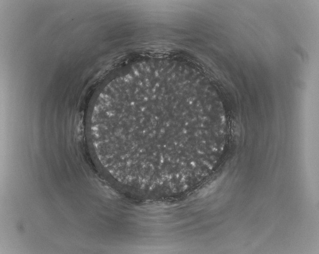 X0000114660818200911171109