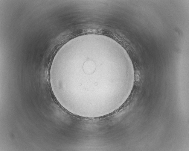 X0000114660820200911171109