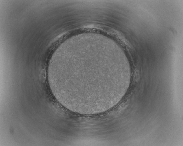 X0000114660821200911171109