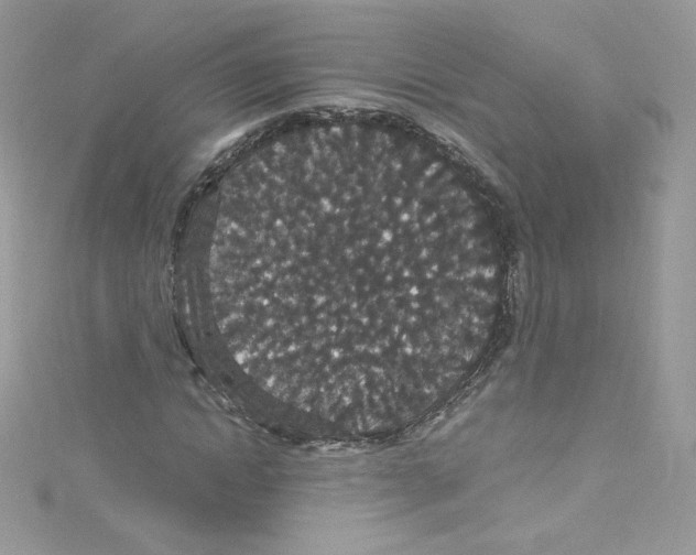 X0000114660822200911171109