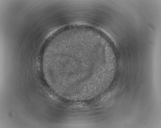 X0000114660823200911171109