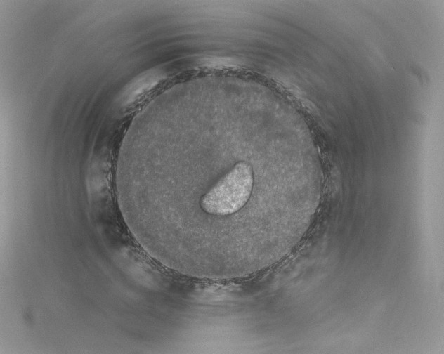 X0000114660824200911171109