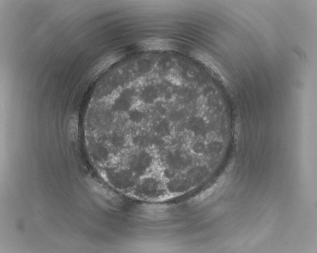 X0000114660825200911171109