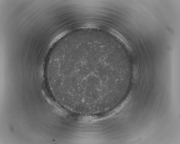 X0000114660826200911171109