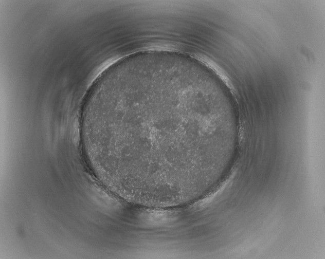 X0000114660829200911171109