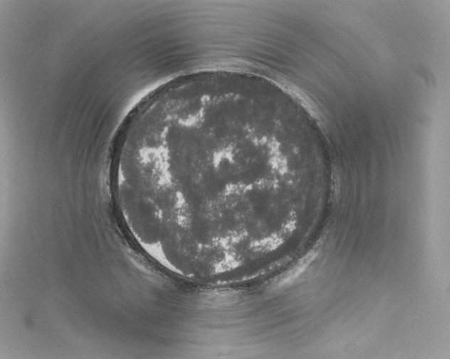 X0000114660830200911171109