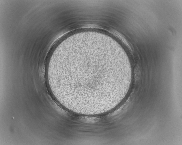 X0000114660831200911171109