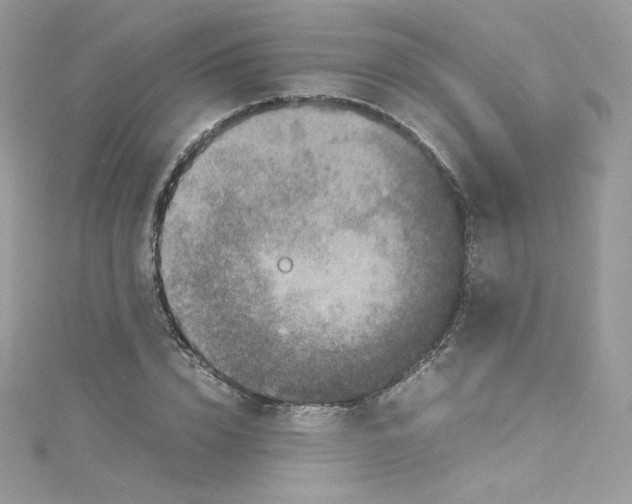 X0000114660832200911171109