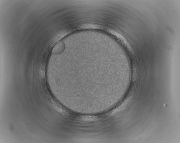 X0000114660833200911171109