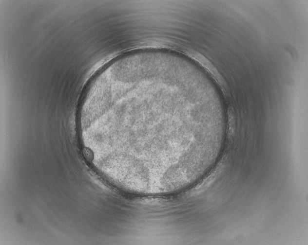 X0000114660834200911171109