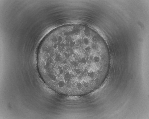 X0000114660835200911171109