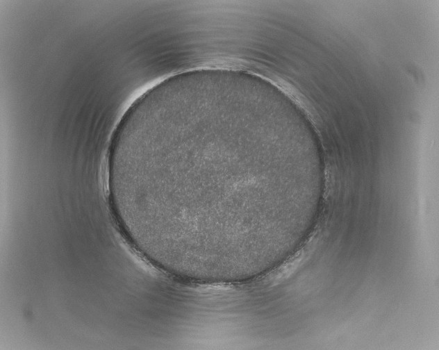 X0000114660838200911171109