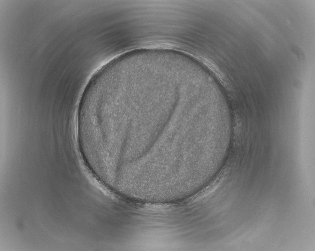 X0000114660840200911171109