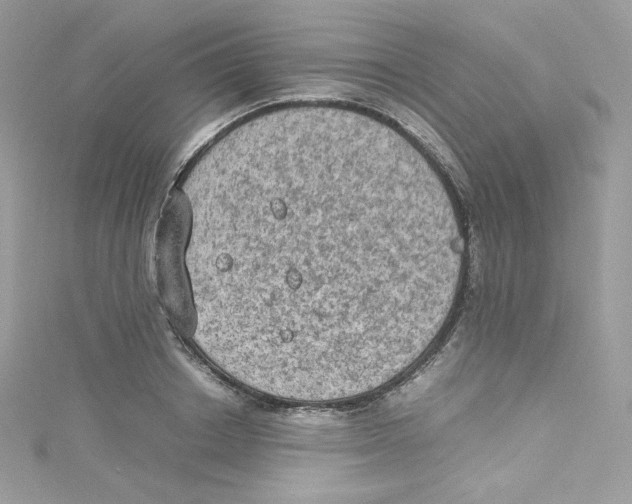 X0000114660842200911171109