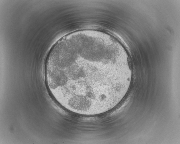 X0000114660843200911171109