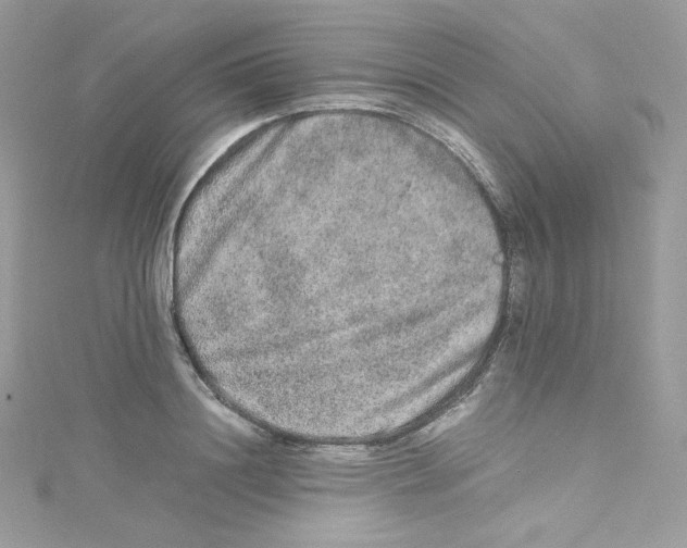 X0000114660844200911171109