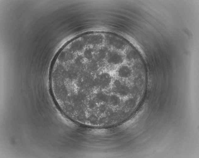 X0000114660845200911171109