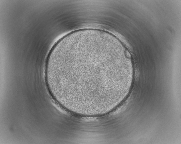 X0000114660846200911171109