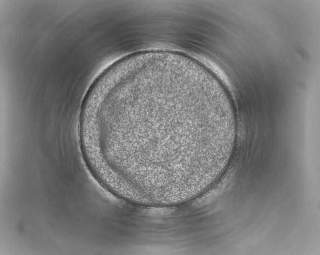 X0000114660847200911171109