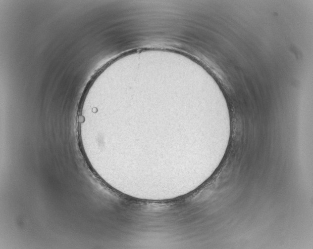 X0000114660848200911171109