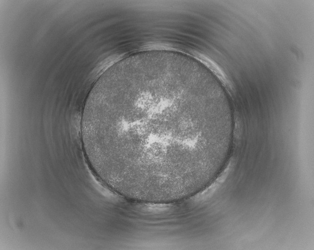 X0000114660849200911171109