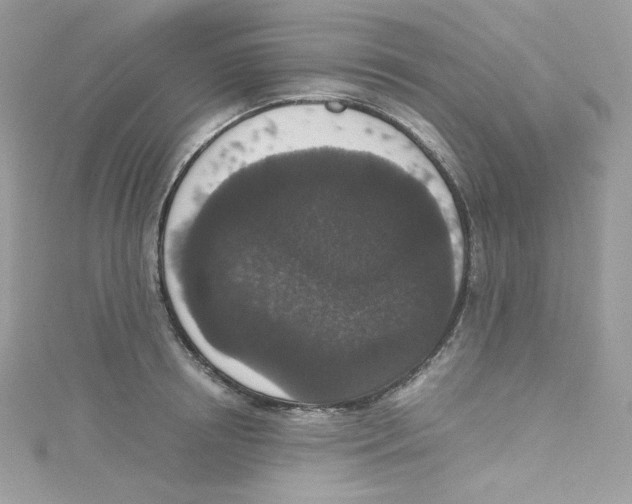 X0000114660850200911171109