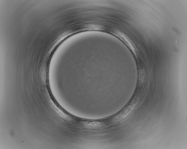 X0000114660851200911171109