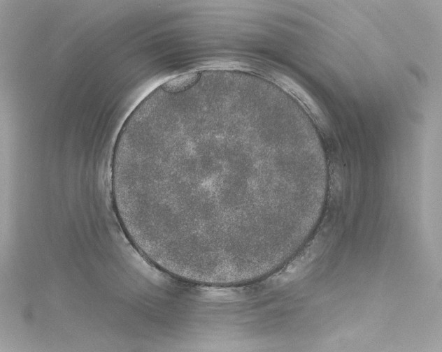 X0000114660852200911171109