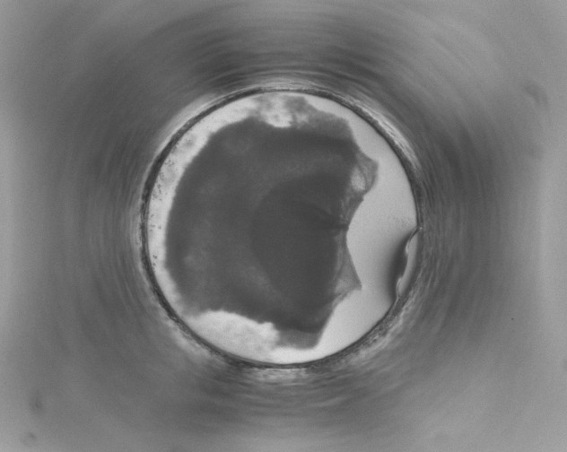 X0000114660853200911171109