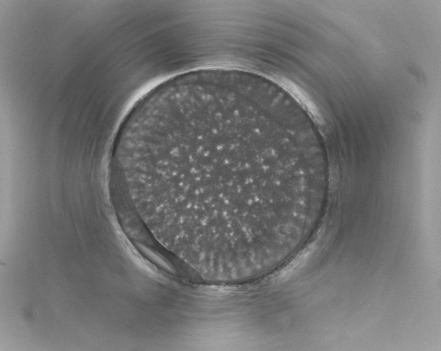 X0000114660854200911171109