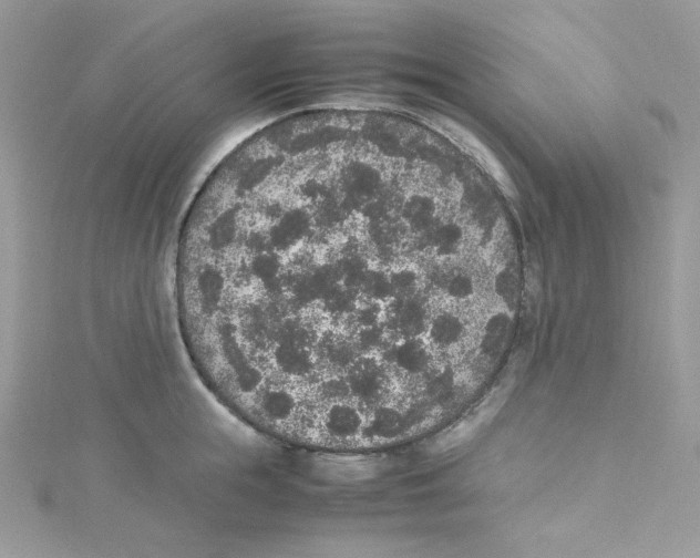 X0000114660855200911171109