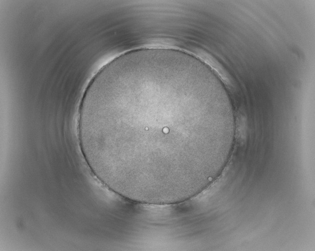 X0000114660856200911171109