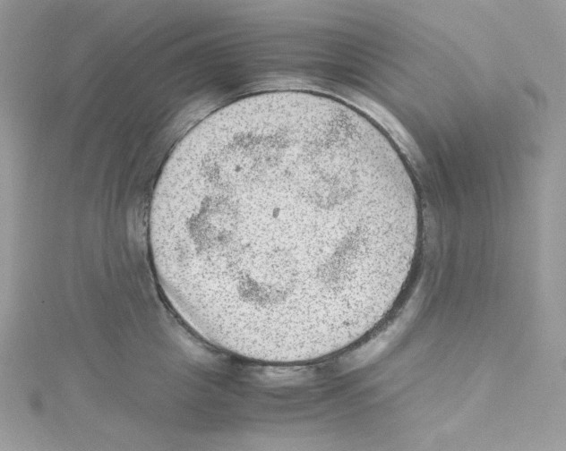 X0000114660857200911171109