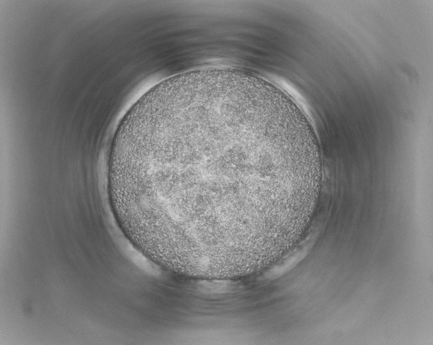 X0000114660859200911171109