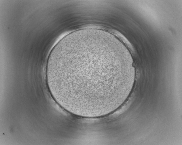 X0000114660860200911171109