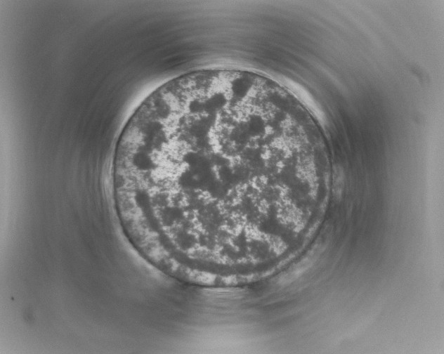 X0000114660863200911171109