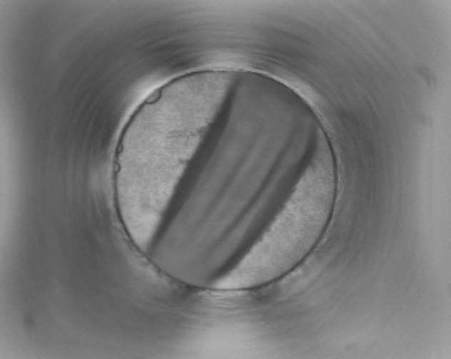 X0000114660864200911171109