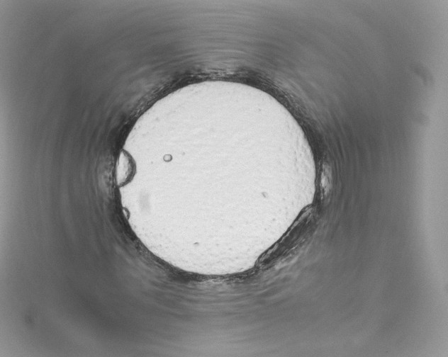 X0000114660867200911171108