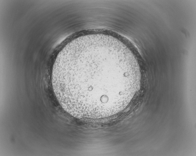 X0000114660871200911171108