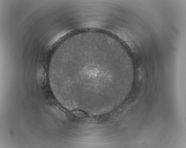 X0000114660872200911171108