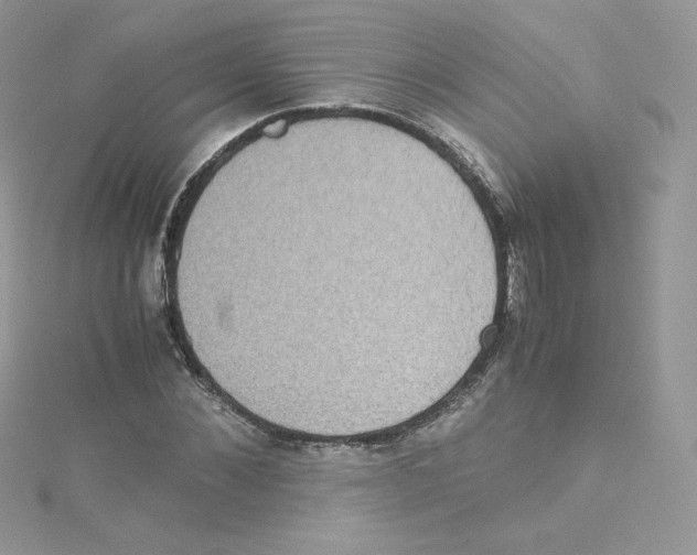 X0000114660876200911171108