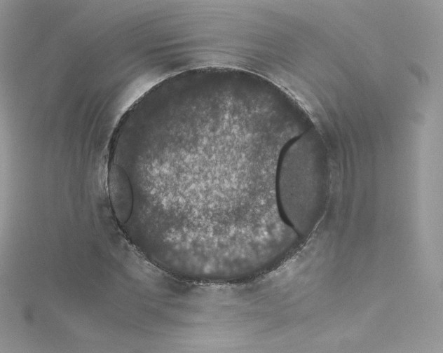 X0000114660877200911171108