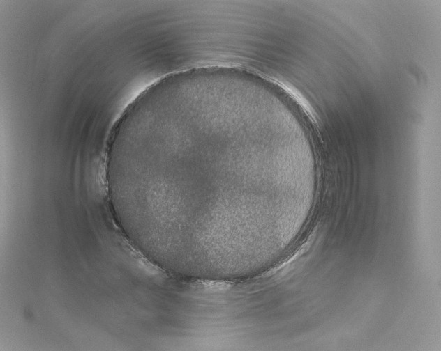 X0000114660878200911171108