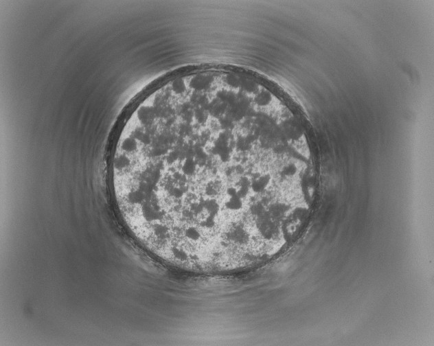 X0000114660879200911171108