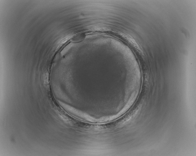 X0000114660881200911171108