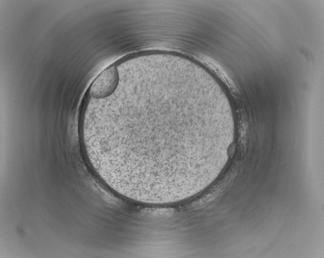 X0000114660884200911171108